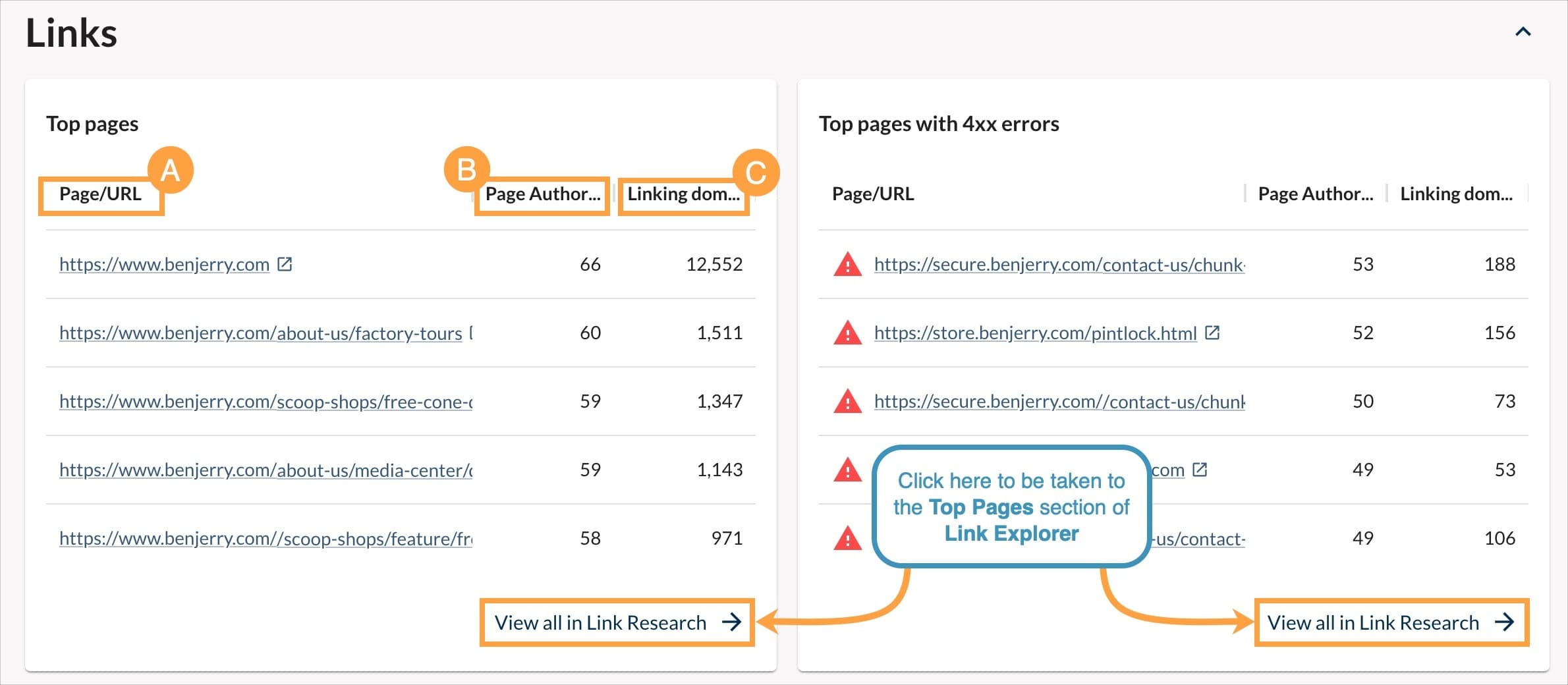 Domain Overview Top Pages boxes with the column headers outlined and marked to correspond with the definitions noted below.