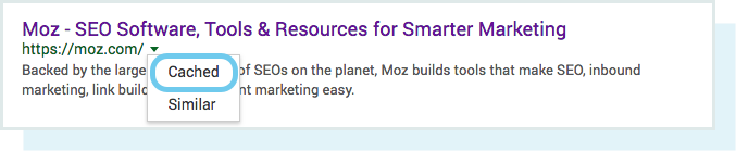 A screenshot of where to see cached results in the SERPs.