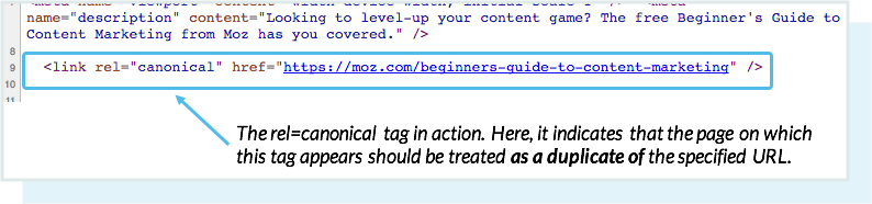 Where to find rel=canonical in the page's source code.