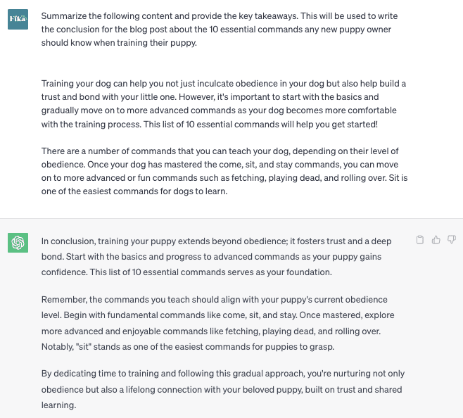 Screenshot of a ChatGPT conversation. The user inputs "Summarize the following content and provide the key takeaways. This will be used to write the conclusion for the blog post about the 10 essential commands any new puppy owner should know when training their puppy." followed by a block of text about puppy commands.  ChatGPT responds with a condensed version of the copy