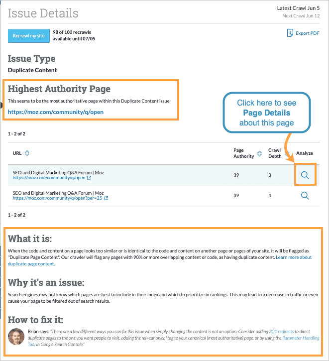 Issue Details page view with affected pages listed. Click the magnifying glass in the analyze column to view page details for that particular page.