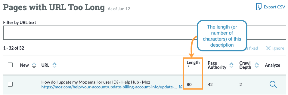 View of pages with URL Too Long issue flag noting the length of the URL.